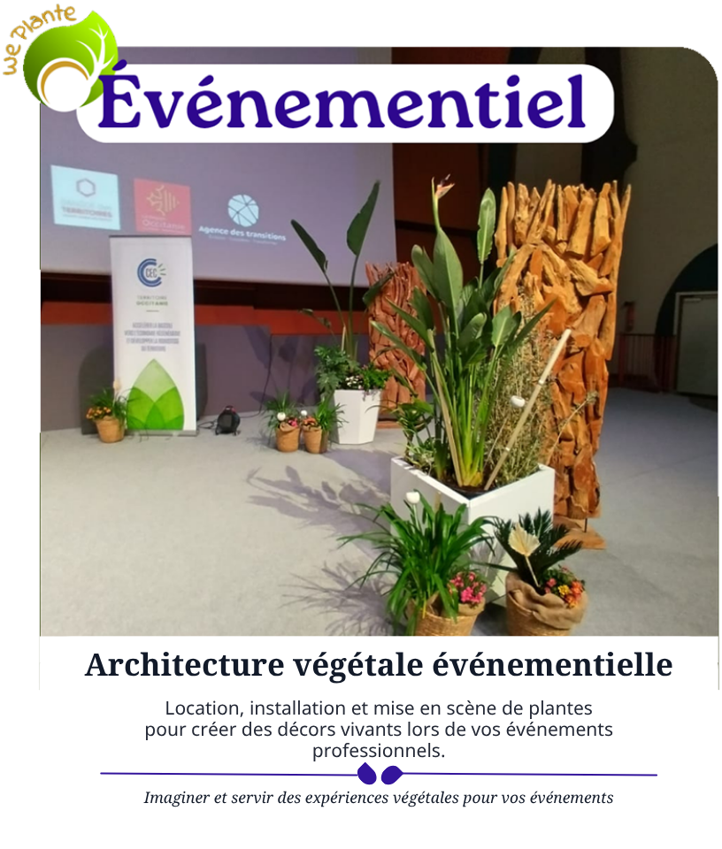 Architecture végétale événementielle