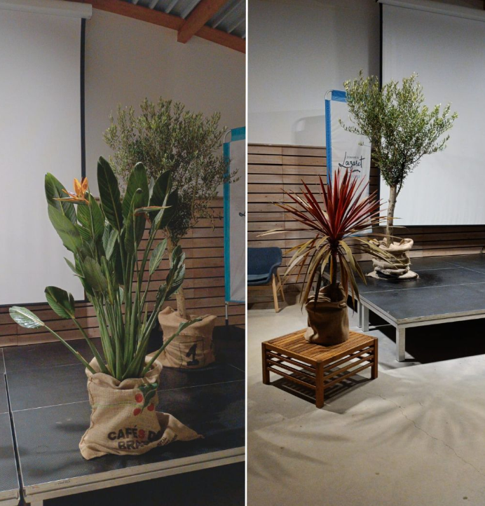 Evénement professionnel de La CPAM Hérault décorer avec des plantes en pots