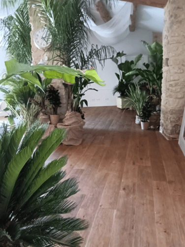 Végétalisation d'un mariage ambiance jungle chic avec des plantes en pots, fournit grâce à WePlante Vertuo