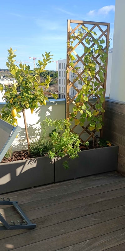 Espaces extérieur d'entreprise décorer avec des plantes