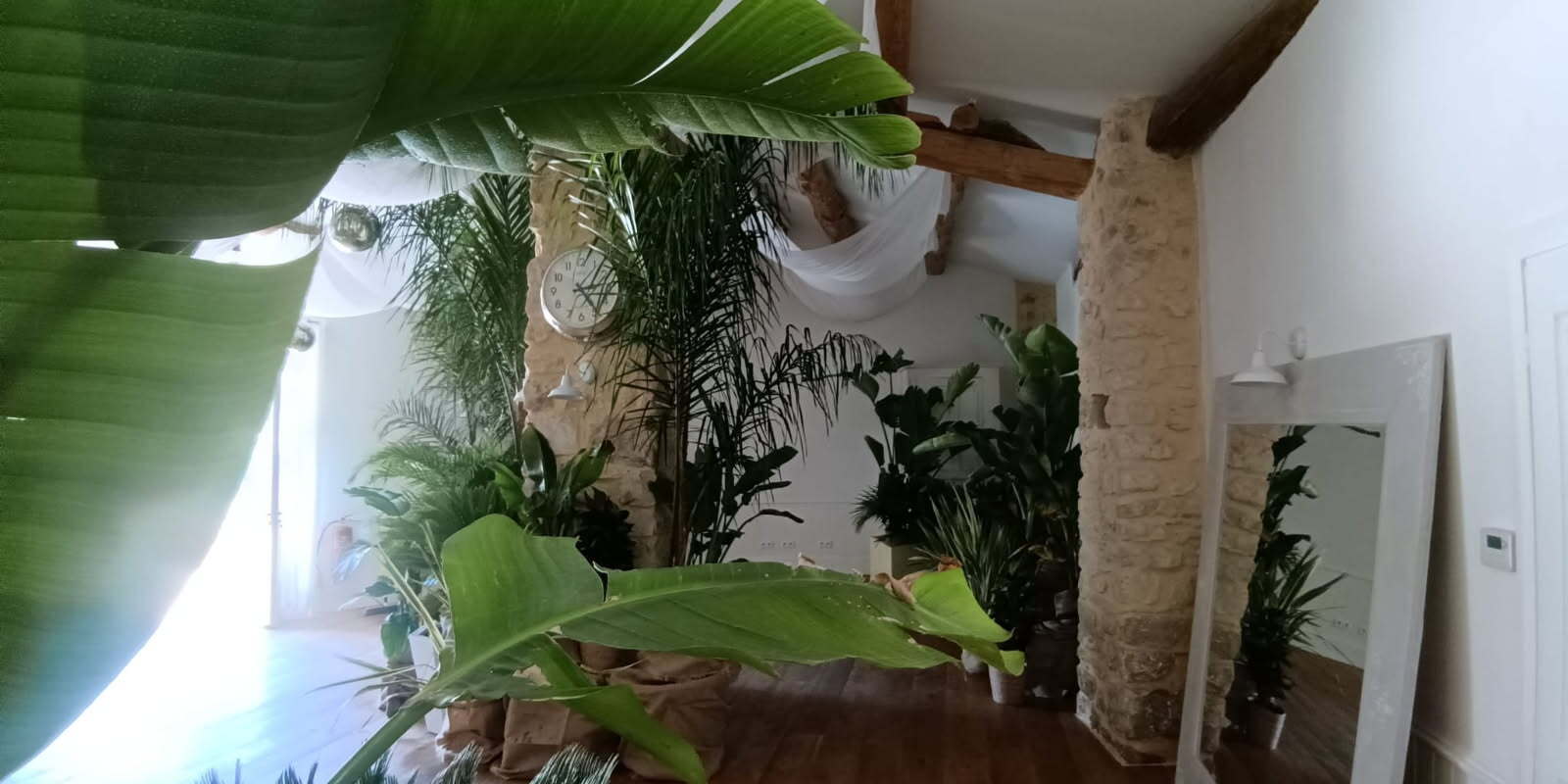 Végétalisation d'un mariage ambiance jungle chic avec des plantes en pots, fournit grâce à WePlante Vertuo