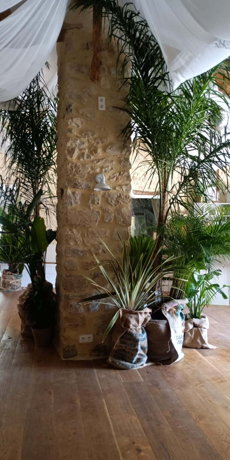 Végétalisation d'un mariage ambiance jungle chic avec des plantes en pots, fournit grâce à WePlante Vertuo