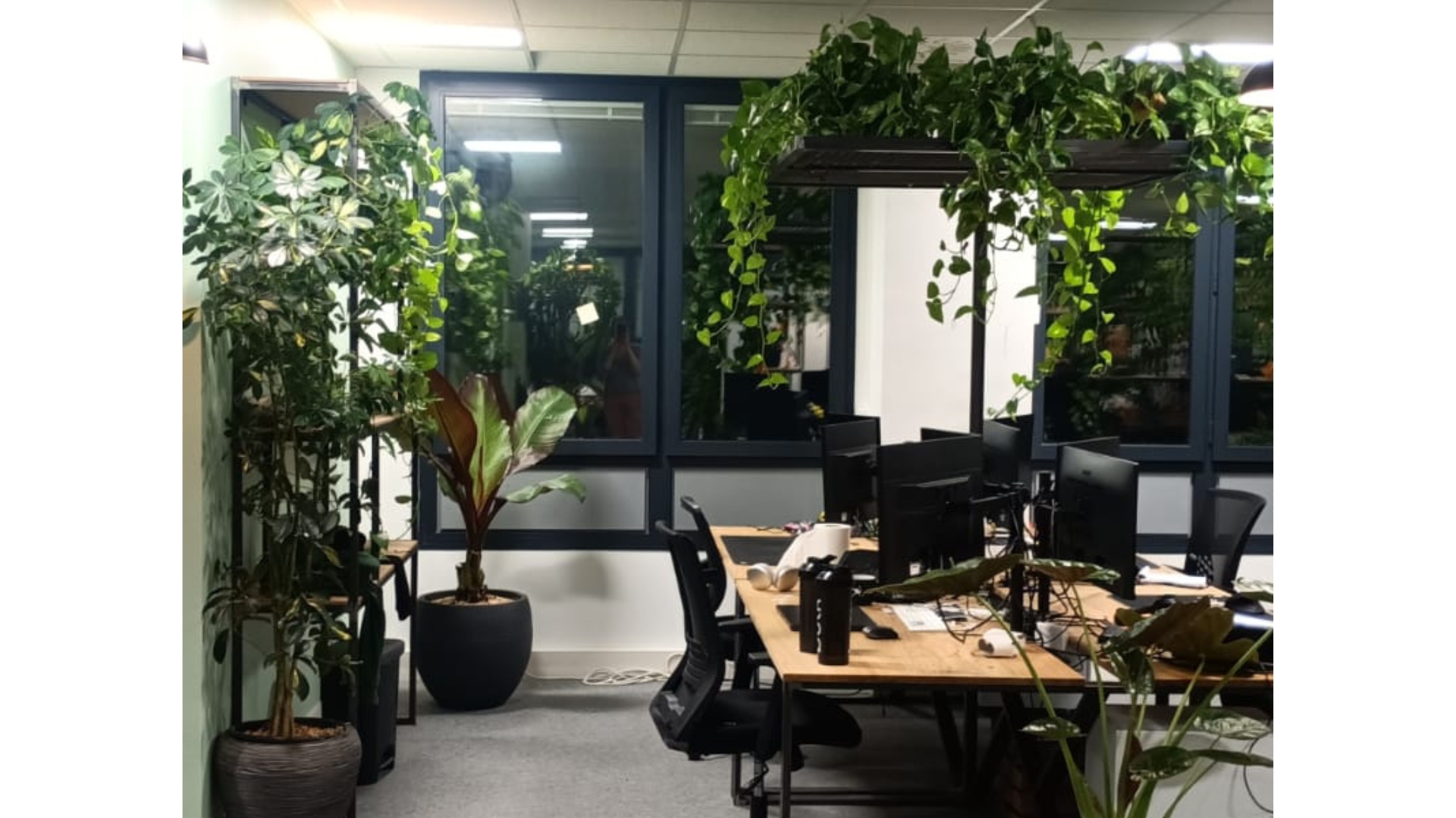 Aménagement de bureaux décorer avec des plantes