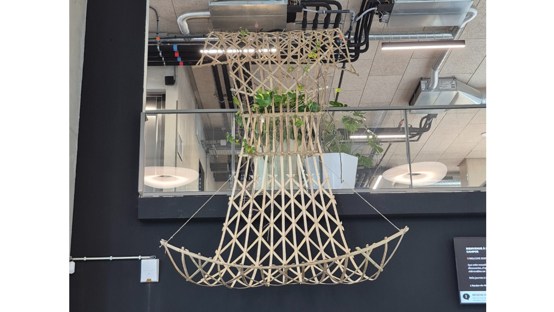 Aménagement d'espace intérieur avec une pergola végétalisé avec des plantes en pots