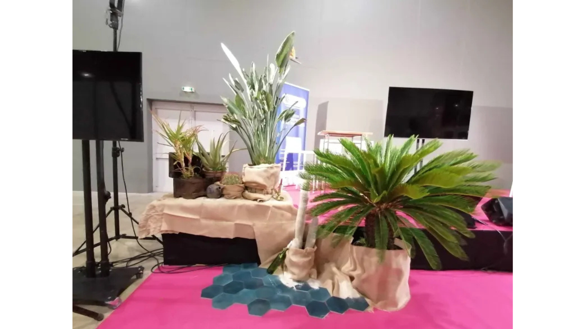 Evénement professionnel de La Place créative Montpellier décorer avec des plantes en pots