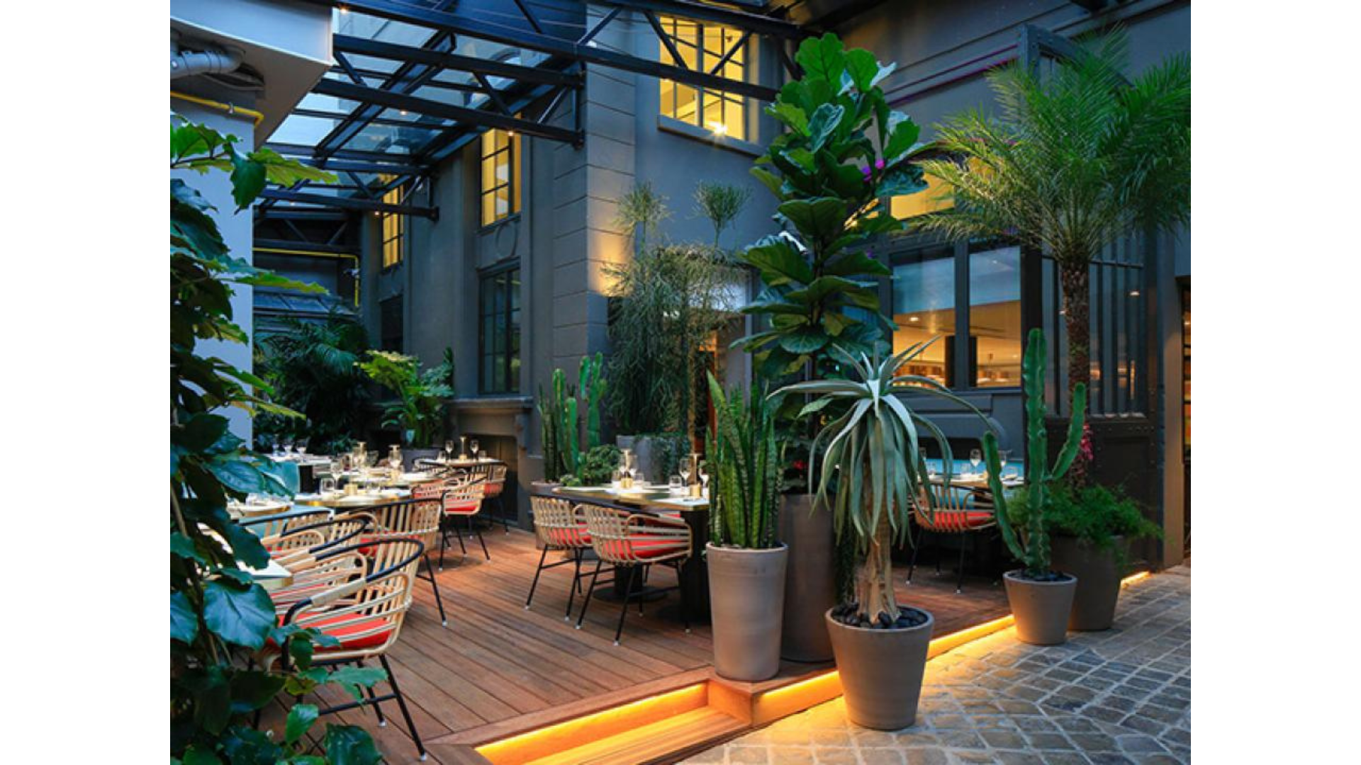 Decorating a restaurant with potted plants