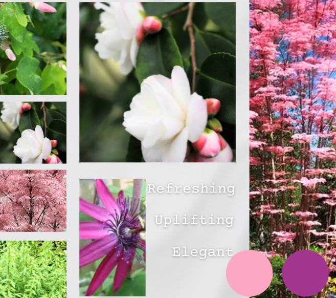 WePlante Mood Board