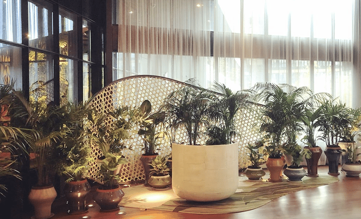 Photo d'un espace intérieur décoré avec des plantes