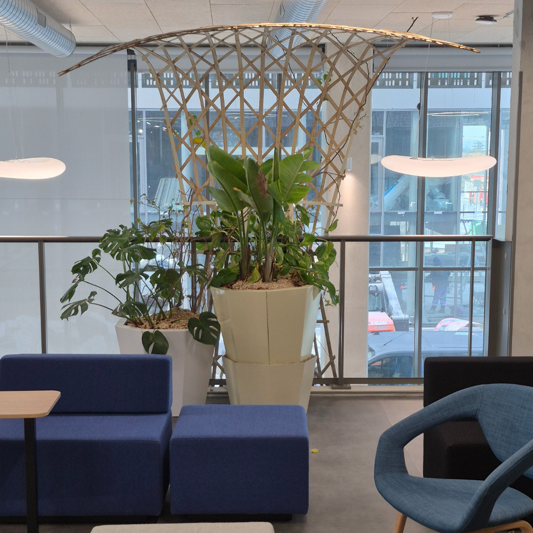 Décoration d'un espace intérieur avec une pergola végétalisé avec des plantes en pots